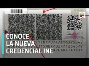 ¿Qué es el Número de Identificación INE y Cómo Obtenerlo?